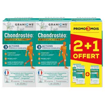 Chrondrosteo 3-Monats-Programm Granions - Packung mit 270 Tabletten