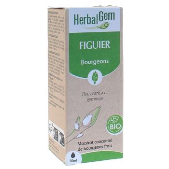 BIO Feigen Herbalgem - 30 ml