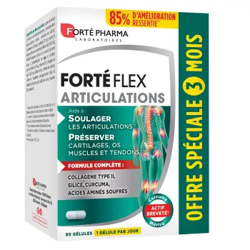 Forté Flex Gelenke Forté Pharma - Packung mit 90 Kapseln