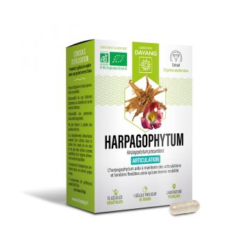 Harpagophytum Bio Gelenksphäre Dayang - Packung mit 15 Kapseln