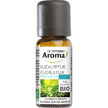 Ätherisches Öl Eucalyptus globulus bio Le Comptoir Aroma - Flasche mit 10 ml