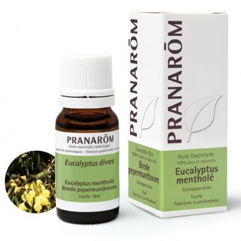 Ätherisches Öl Eukalyptus Menthol Pranarôm - Flasche mit 10 ml