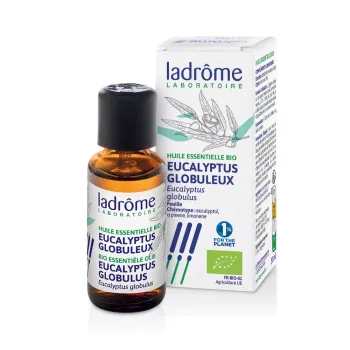Bio Eukalyptus globulus ätherisches Öl Ladrôme - 30ml Flasche
