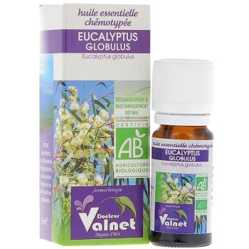 Ätherisches Öl Eukalyptus globulus Bio Dr. Valnet - 10 ml