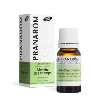 Ätherisches Öl Bio Ackerminze Pranarôm - Flasche mit 10 ml