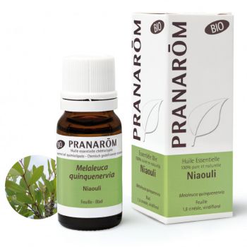 Niaouli Bio ätherisches Öl Pranarom - Flasche mit 10 ml