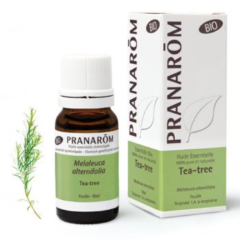 Bio Teebaumöl Pranarom - 10ml Flasche