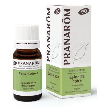 Ätherisches Öl von Bio Pranarôm Schwarze Fichte - Flasche mit 10 ml