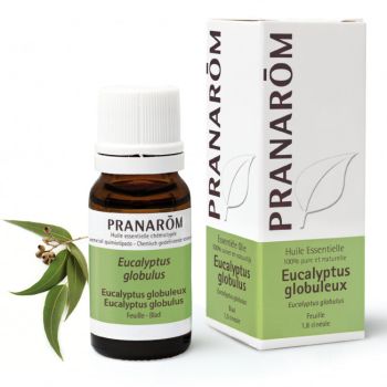 Ätherisches Öl von Eukalyptus globulus Pranarôm - Flasche mit 10 ml