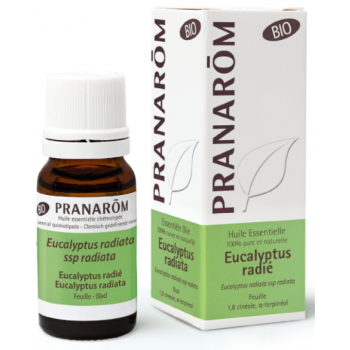 Bio ätherisches Öl von Eucalyptus radiata Pranarôm - Flasche mit 10 ml