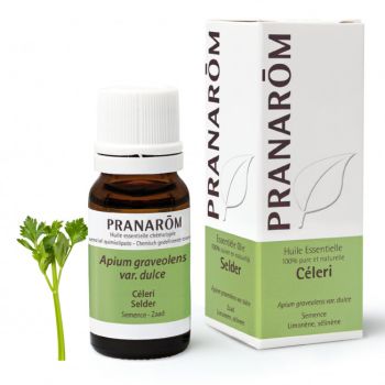 Ätherisches Öl von Sellerie Pranarôm - Flasche mit 10 ml