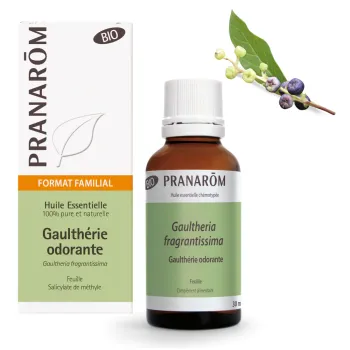 Bio ätherisches Öl von duftendem Wintergrün Pranarôm - Flasche mit 30 ml