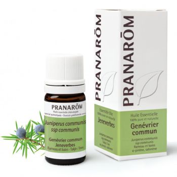 Ätherisches Öl von Wacholder Pranarôm - Flasche mit 5 ml