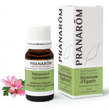 Ägyptisches Geranienöl Pranarôm - Flasche mit 10 ml