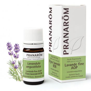 Ätherisches Öl von feinem Lavendel AOP Pranarôm - Flasche mit 5 ml