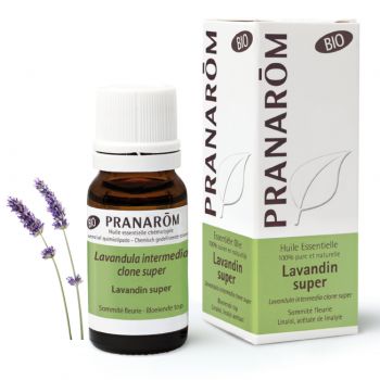 Ätherisches Lavandin Super Bio-Öl Pranarôm - Flasche mit 10 ml