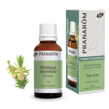Bio-Teebaumöl Pranarôm - 30 ml Flasche