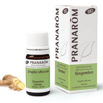 Bio Ingwer ätherisches Öl Pranarôm - Flasche mit 5 ml