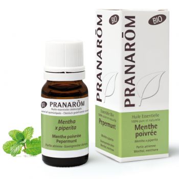 Bio Pfefferminzöl Pranarôm - 10 ml Flasche