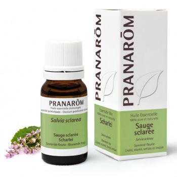 Bio-Salbei ätherisches Öl Pranarom - Flasche mit 10 ml