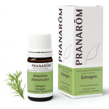 Präpariertes Estragon ätherisches Öl (Artemisia dracunculus) Pranarôm - Flasche mit 5 ml