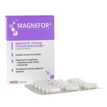 Magnefor Nervosität-Müdigkeit Ineldea - Packung mit 90 Kapseln