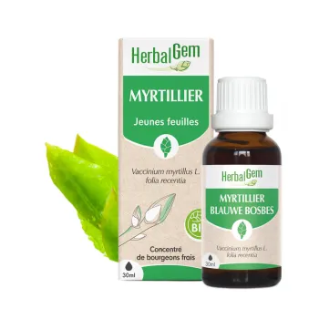 Bio-Heidelbeere Herbalgem - Flasche mit 30 ml