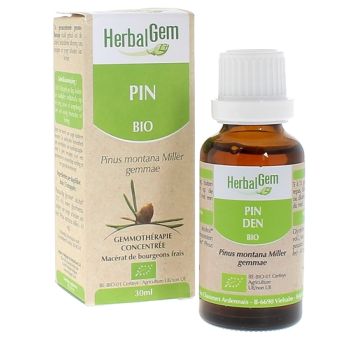 BIO-Kiefernadel Herbalgem - 30 ml
