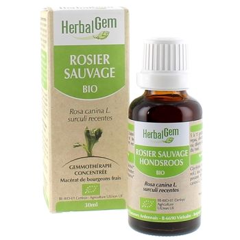 Wildrose BIO Herbalgem - 30 ml
