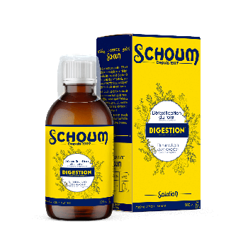 Schoum Verdauung Aroma Zitrone-Minze - Flasche von 500ml