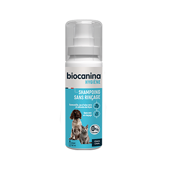 Shampoo ohne Ausspülen für Hunde und Katzen Biocanina - Spray mit 100 ml