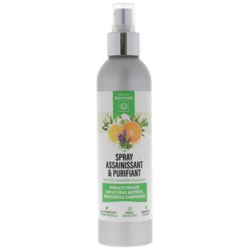 Dayang Desinfektions- und Reinigungspray - 200 ml Spray