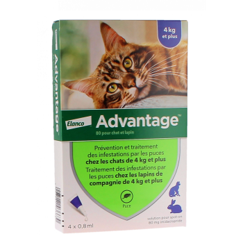 Vorteil 80 f&uuml;r Katzen und Kaninchen &uuml;ber 4 kg Bayer - Packung mit 4 Pipetten