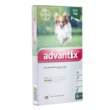 Advantix sehr kleine Hunde bis zu 4 kg Bayer - Packung mit 6 Pipetten