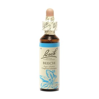 Bachblüte Buche Fagus sylvatica - Flasche mit 20 ml