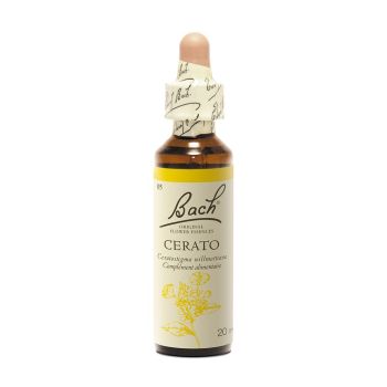 Bachblüte Cerato Ceratostigma willmottiana - Flasche mit 20 ml