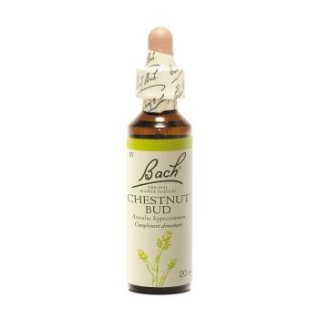 Bachblüte Kastanienknospe Aesculus hippocastanum - Flasche mit 20 ml