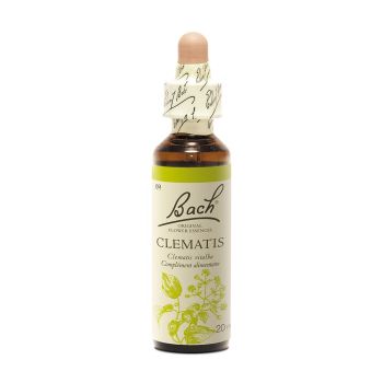 Bachblüte Clematis Clematis vitalba - Flasche mit 20 ml