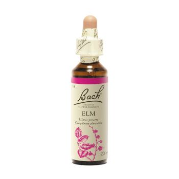 Bachblüte Ulme Ulmus procera - Flasche mit 20 ml