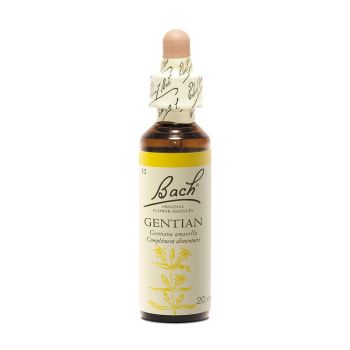 Bachblüte Gentian Gentiana amarella - Flasche mit 20 ml