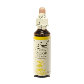 Bachblüte Gorse Ulex europaeus - Flasche mit 20 ml