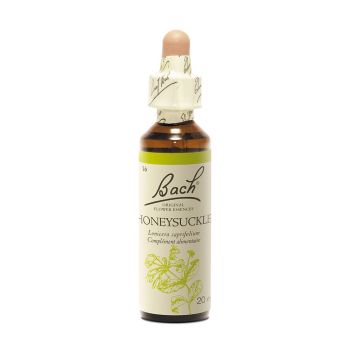 Bachblüte Geißblatt Lonicera caprifolium - Flasche mit 20 ml