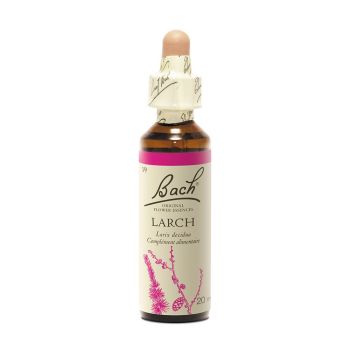 Bachblüte Lärche Larix decidua - Flasche mit 20 ml