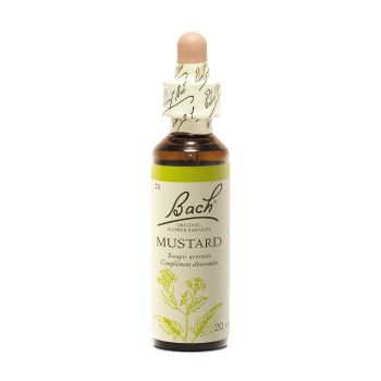 Bachblüte Senf Sinapis arvensis - Flasche mit 20 ml