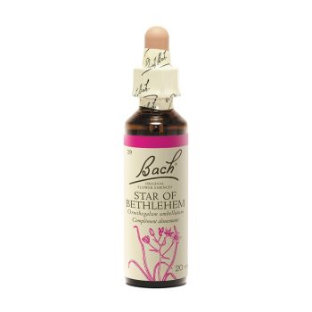 Bachblüte Stern von Bethlehem Ornithogalum umbellatum - Flasche mit 20 ml
