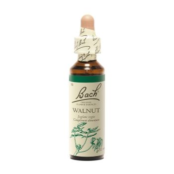 Bachblüte Walnuss Juglans regia - Flasche mit 20 ml