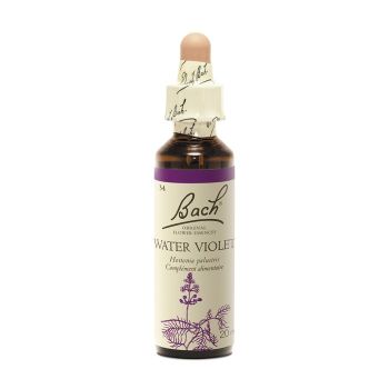 Bachblüte Wasser-Veilchen Hottonia palustris - Flasche mit 20 ml