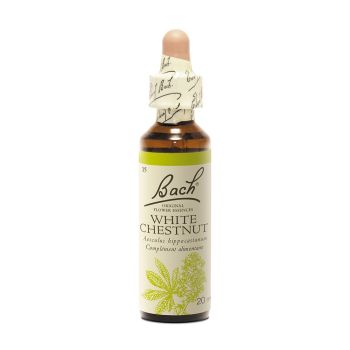 Bachblüte Weiße Rosskastanie Aesculus hippocastanum - Flasche mit 20 ml