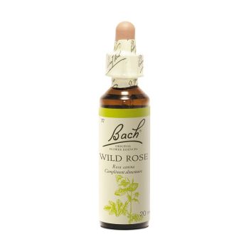 Bachblüte Wildrose Rosa canina - Flasche mit 20 ml