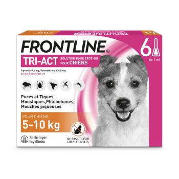 Frontline Tri-Act Hunde 5-10 kg - Schachtel mit 6 Dosen zu je 1 ml